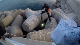  경주시 감포항 방파제 추락 사고 발생 