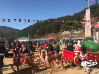  봉화산타마을, 개장 44일 관광객 총 8만6062명, 일일 2천여명 다녀가 