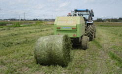  해남군, 품질좋은 조사료 생산기반 확충 ‘박차’ 