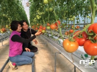  경주시, 기업체 품질 좋고 저렴한 이사금 토마토 홍보 