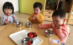  계룡시, 관내 어린이집 46곳에 우수농산물 지원 