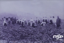  영암군, 군립하정웅미술관 현대미술거장전 개최 