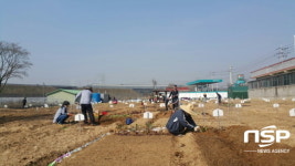  대구 동구, 공영텃밭 분양 개장 