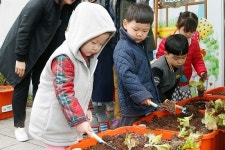 의왕시 예쁜뜰 어린이집, 아이들 상자텃밭 채소 심기 