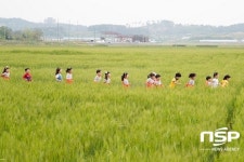  [가볼까]추억 찾아 떠나는 시간여행…군산꽁당보리축제 