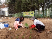  의왕시 부곡동, 5평의 행복 먹거리 주말농장 개장 
