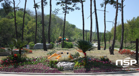  영덕군 산림생태문화체험공원, 사랑의 장미 이색 포토존·봄단장 