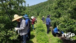  장수군, 본격 영농철 맞아 농촌일손돕기 구슬땀 