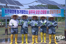  한국수력원자력, 영농형 태양광발전소 모내기 