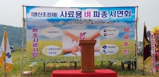  구미시, 신촌리에서 사료용 벼 재배 시연회 개최 