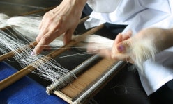  서천군, 한산모시 글로벌 명품만든다 