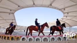  농식품부, 장수 익산 김제 완주 진안 말산업특구 지정 