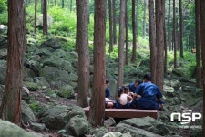  장흥군, 군정 목표  ‘맑은 물 푸른 숲 정남진 장흥’ 확정 