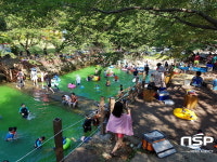  전남 자연휴양림, 폭염 속 산림휴양객으로 북적 