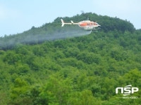  완주군, 돌발해충 예방 항공방제 실시 