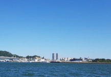  목포시, 트윈스타 분양대금 관련 항소심 패소 52억원 손실 