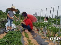  익산시, 주말가족농장 김장 채소 재배 교육 
