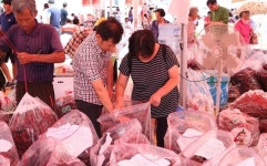  청양군, 축제용 청양고추 판매가격 결정… 600g당 2만 2000원 