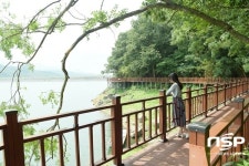  장성군 장성호 수변길, 전남도 9월 추천 관광지로 선정 