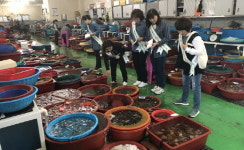  완도군, 수산물 원산지 표시 특별단속 실시 