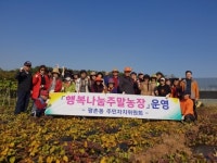  안양시 평촌동, ‘행복나눔 주말농장’서 고구마 수확 