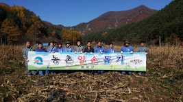  봉화군 석포면사무소, 농촌일손돕기 나서 