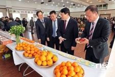  장흥군, 원예작물 품평회 개최 