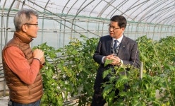  김돈곤 청양군수, 영농현장 방문 