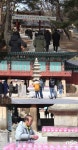  화성 용주사, 가족관광객 발길 이어져 