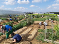  김포시농업기술센터, 주말농장 활성화 퇴비지원 신청 받아 