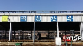  곡성군,  한우경매시장 대청소 및 일제 소독 실시 