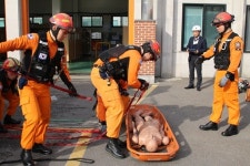 안산소방서, 경기소방본부 주관 종합감사 받아 
