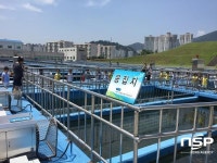  광양시, 용강정수장 정수시설 청소작업 추진 