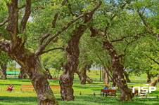  성주군 성밖숲, 문체부 2019 생태테마관광 육성 공모사업 선정 