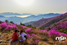  여수 영취산진달래 축제 29일부터 3일간 개최 