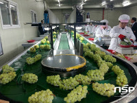  경북도, 밭작물공동경영체 육성 공모사업 5개소 선정... 국비 25억원 확보 