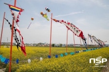  [가볼까]군산꽁당보리축제…“보리 향기를 찾아 떠나는 군산여행” 