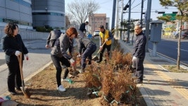  평택 안중읍, 도시숲 조성 나무심기 실시 