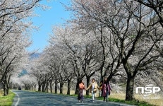  청도군 각북면, ‘벚꽃 향기 품은 봄맞이 작은 음악회’ 예정 