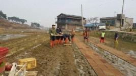  평택 포승읍, 해군 제2함대 장병과 농촌 일손돕기 구슬땀 