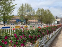  영덕읍 덕곡천 교량, 꽃으로 활짝 