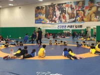  용인시 보정동, 삼성생명 스포츠단 재능기부…초등생 체육 지도 