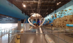  해남 땅끝해양자연사박물관 5월 3일 개관 