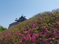  김포시, 문수산성 장대 주변 환경정비 실시 