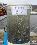  광양시, 어린 은어 12만 2천 마리 방류 