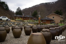  [가볼까]쏟아지는 별빛보고 산나물·감자 캐는 ‘경북 산촌으로’ 