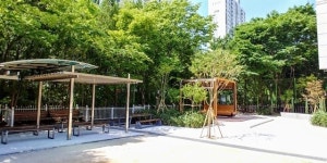  안양시, 자연친화적 휴식공간 ‘학교숲’ 동안고 조성 
