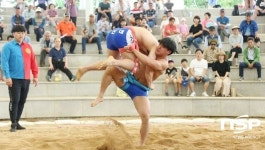  경산시, ‘자인단오제 대학장사 씨름대회’  성료 