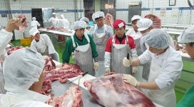  공주시, 공주알밤한우 식육처리 기술교육 진행 