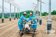  한국수력원자력, 한국형 최초 영농병행 태양광 보급사업 1호 준공 